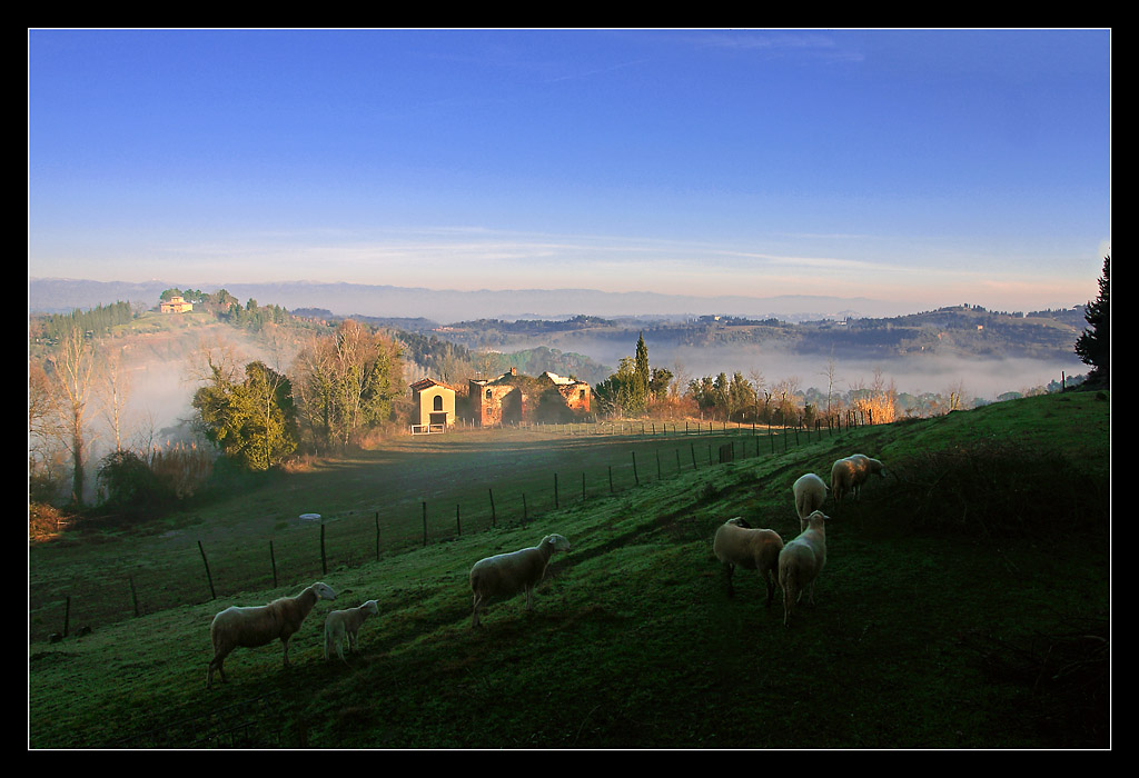 Campagna pisana da Agliati