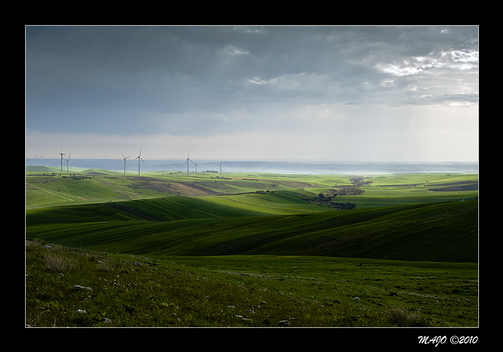 Lucera Wind Power Plant Landscape