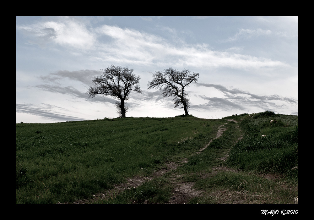 Lucera (FG) - Paesaggio