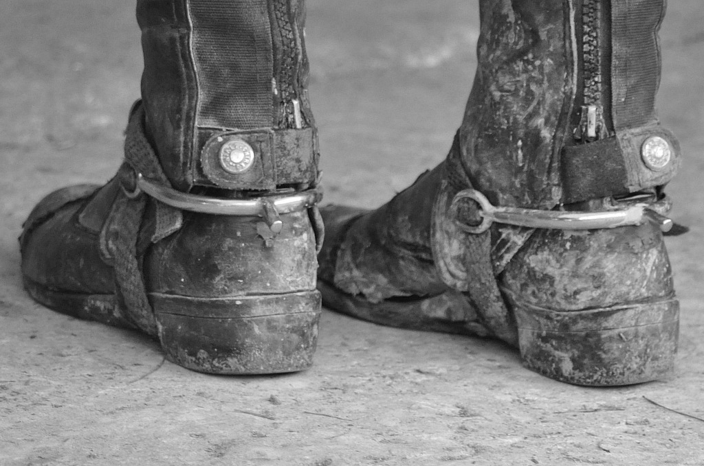 la nostra passione � anche questo