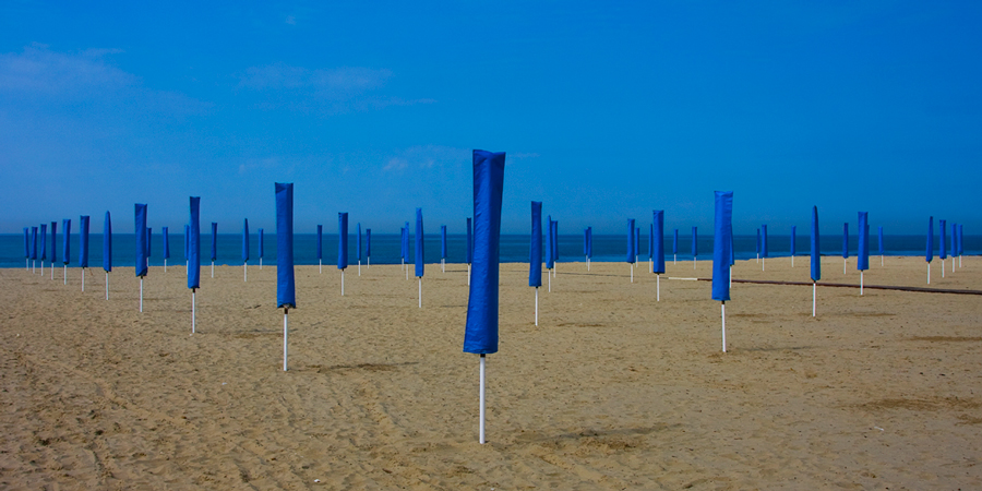 foreste artificiali 2