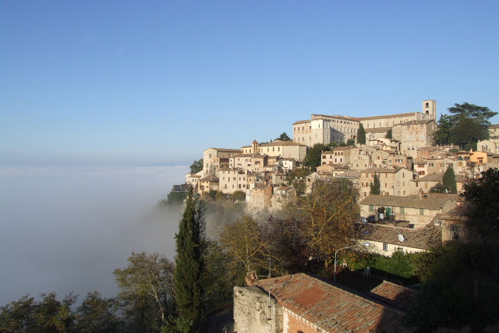todi