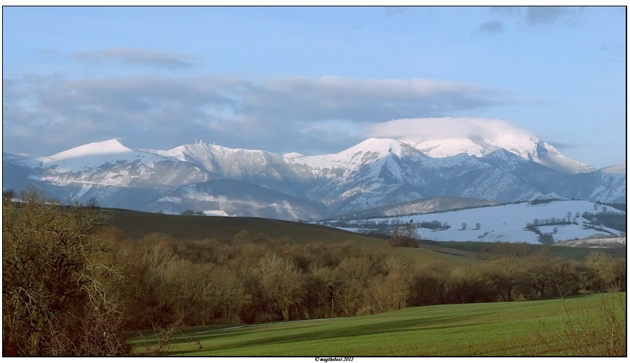 dopo la neve la vita rinasce