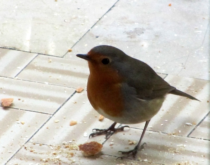 A pranzo sul terrazzo di casa