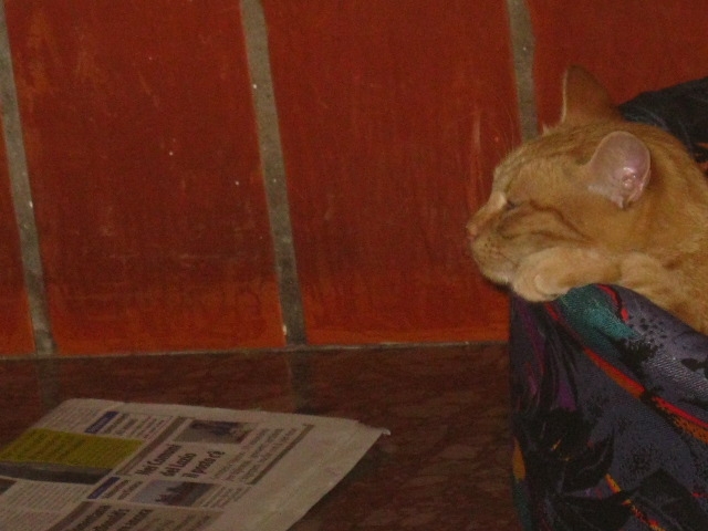 notizia straordinaria