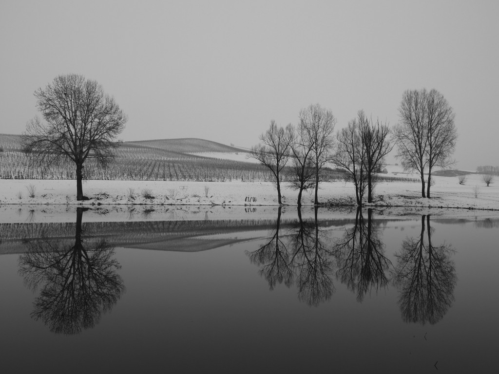 quasi come ieri.....