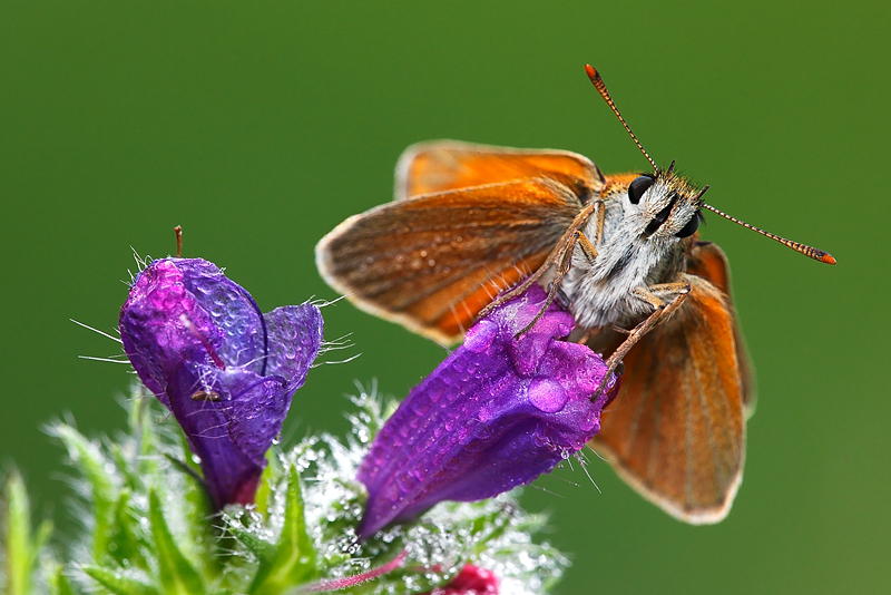 ...quasi pronta per il volo...