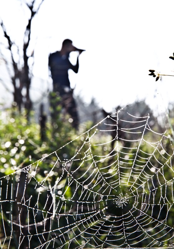 il fotografo e la tela..