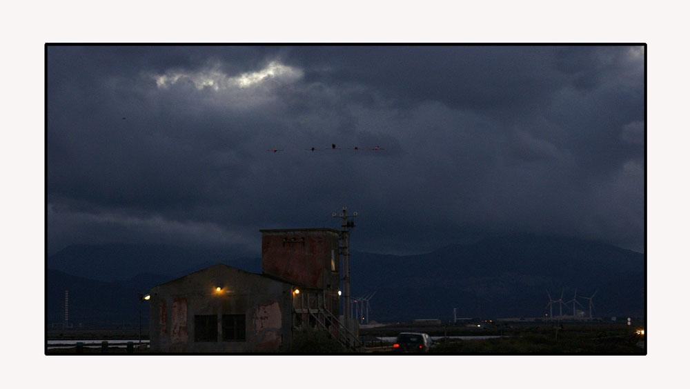 Voli all'imbrunire..