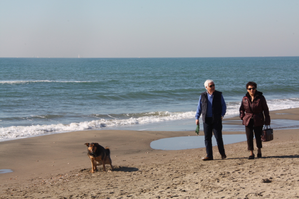 ... incivilt� o leggerezza ...