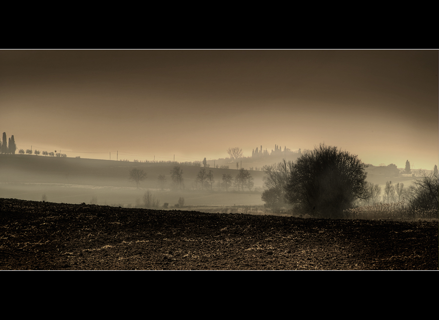 La mia campagna a modo mio