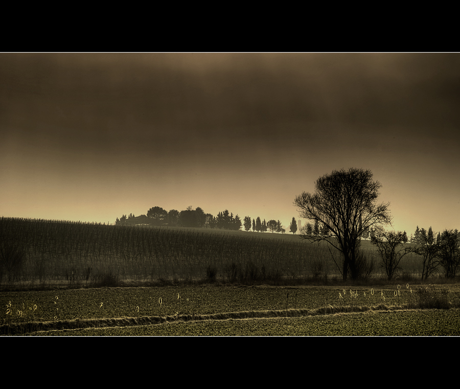 Paesaggio ad alto contrasto tonale