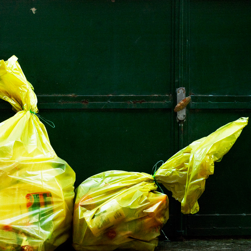 Raccolta del Marted�