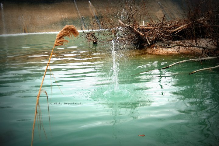 E cos� se ne and�