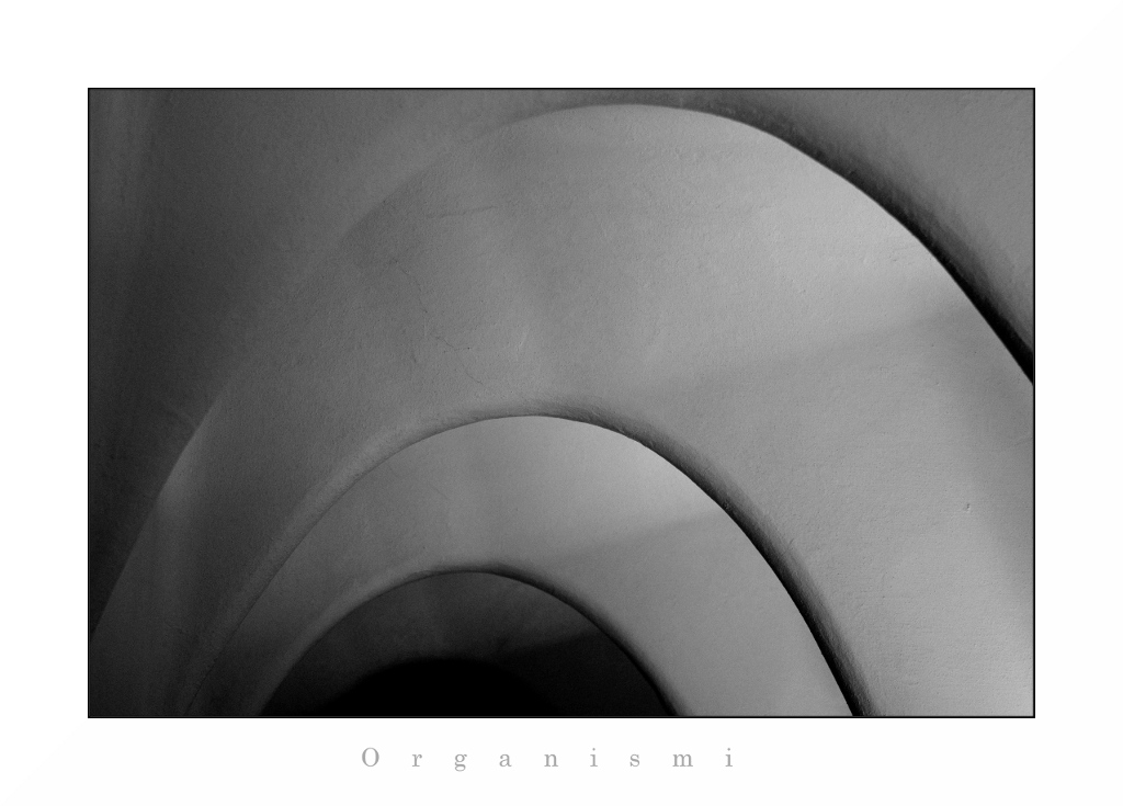 Organismi