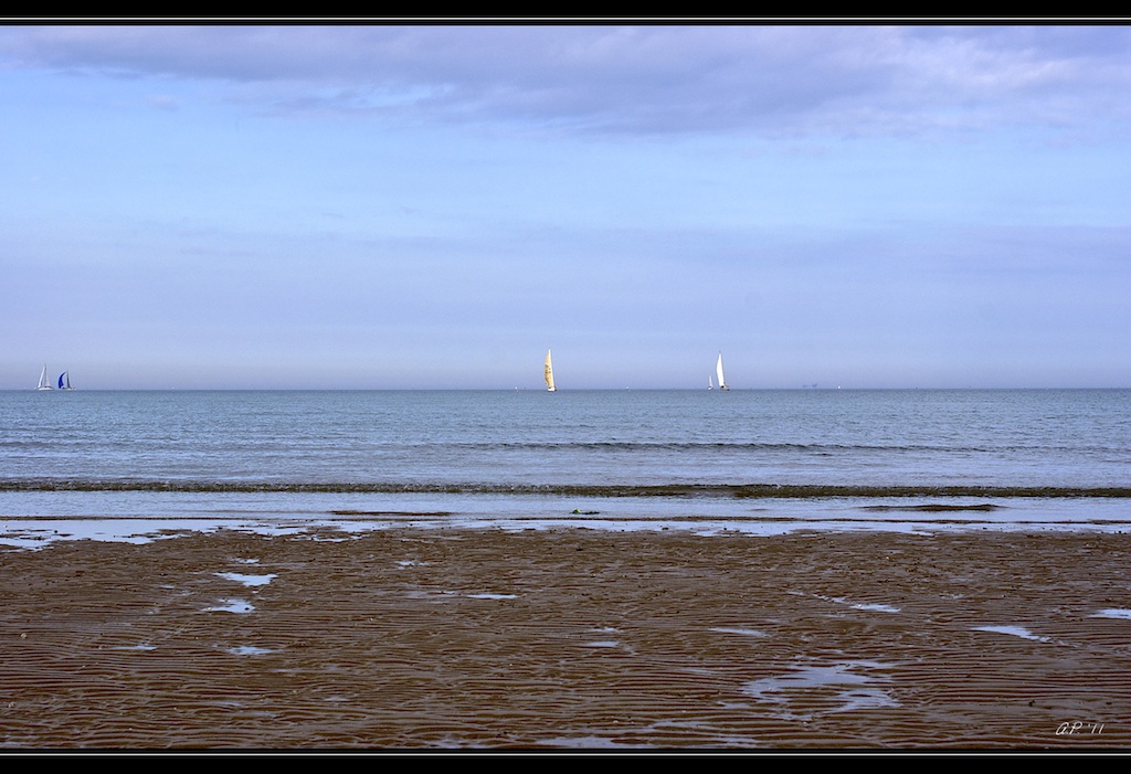 Low Tide & Sails