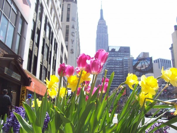 natura metropolitana