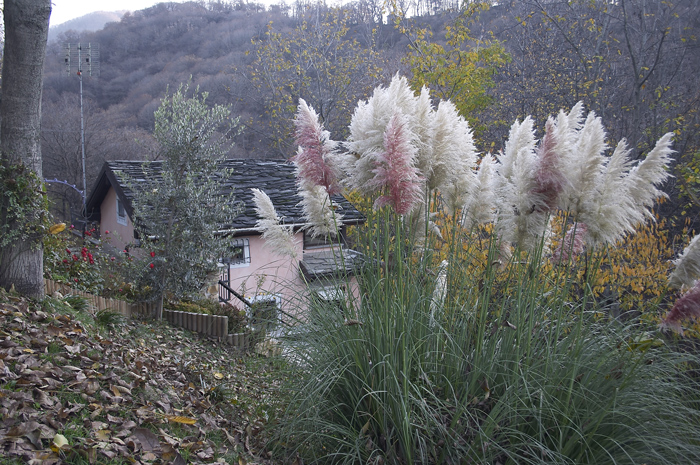casetta di montagna 2