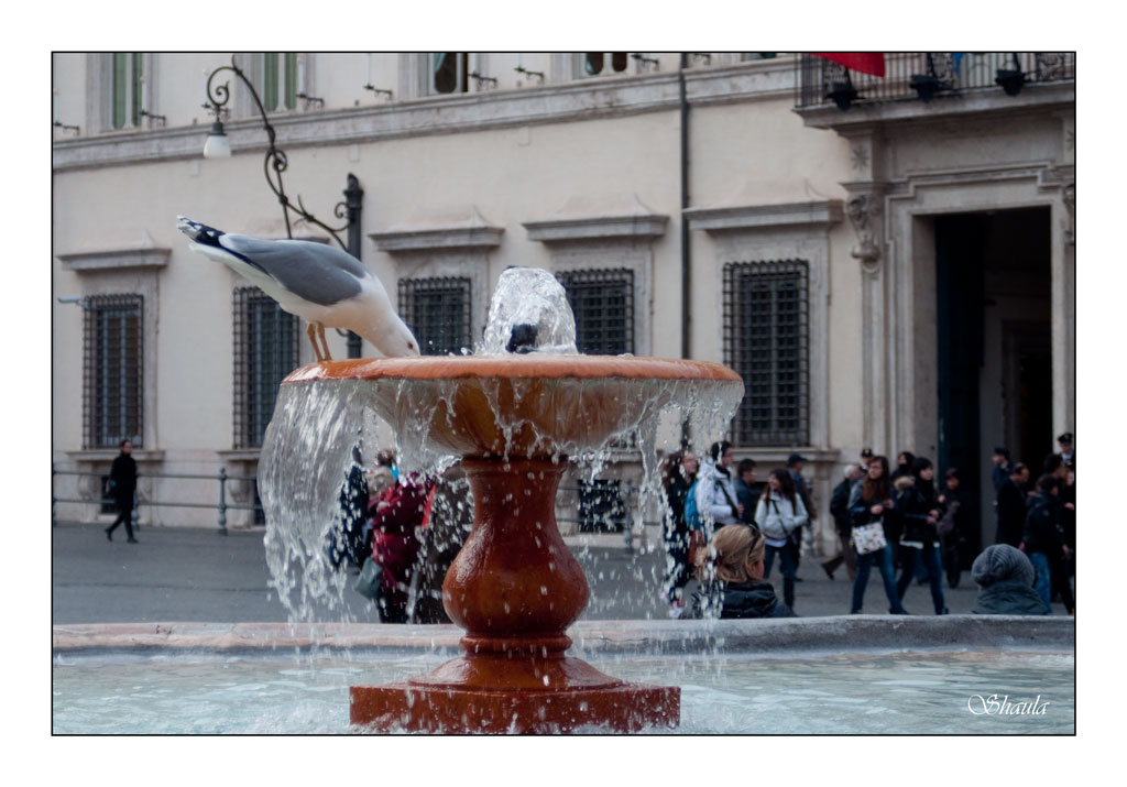 ...un p� di ristoro