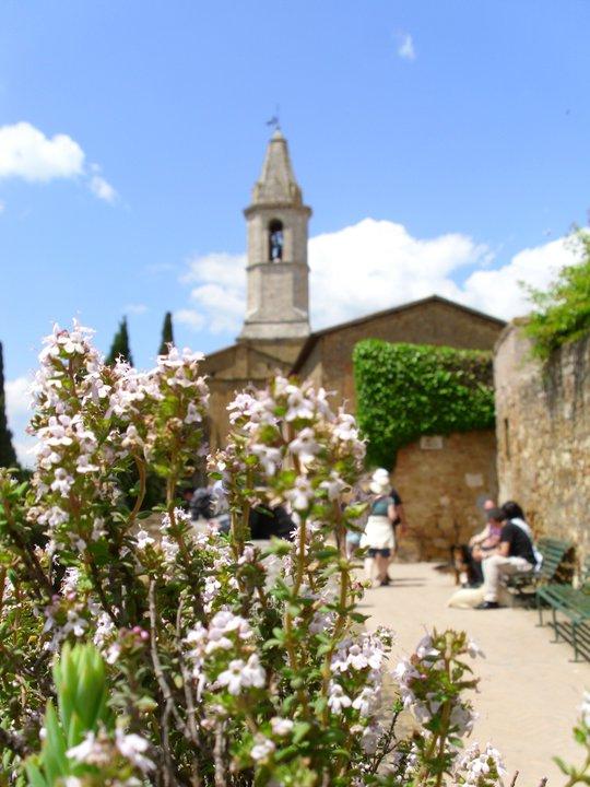 pienza in fiore
