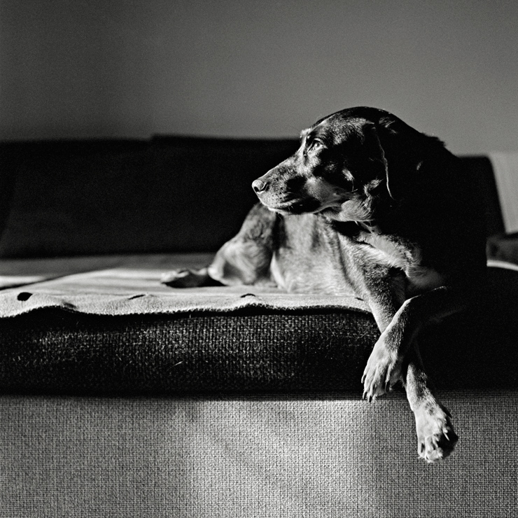 Italia's next top model