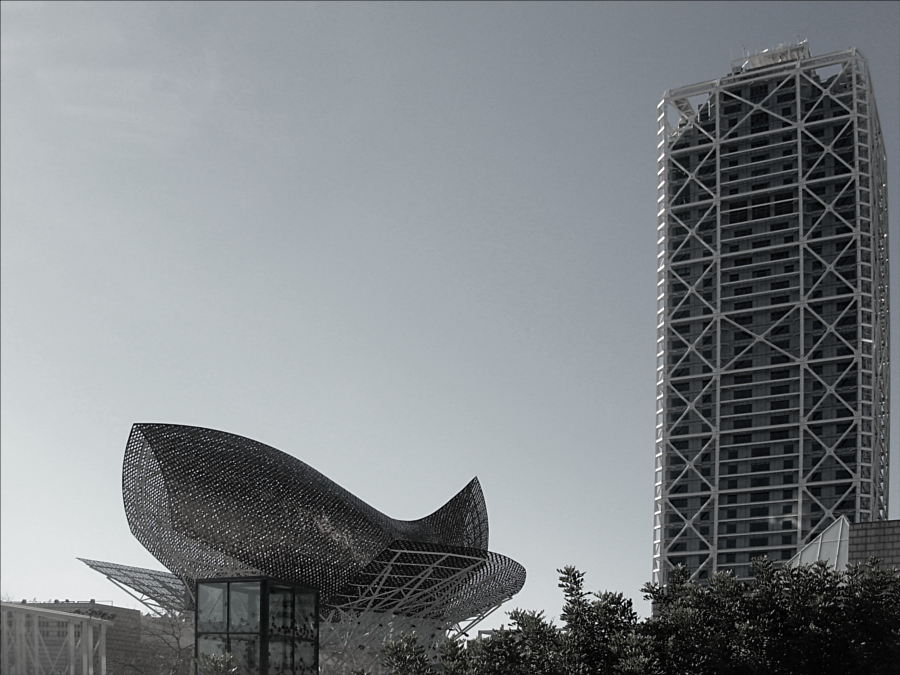 La balena di Gehry