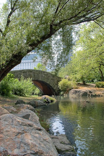 New York - Central Park