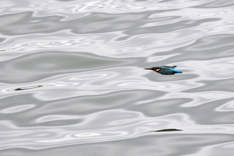 ..la freccia azzurra...