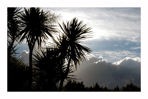 disegni d' aria n�3