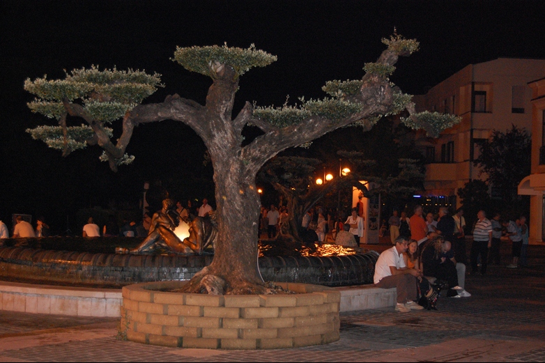 Albero in piazza