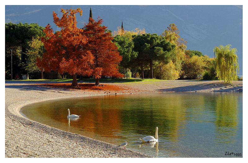 Sabbioni in autunno (lago di Garda)