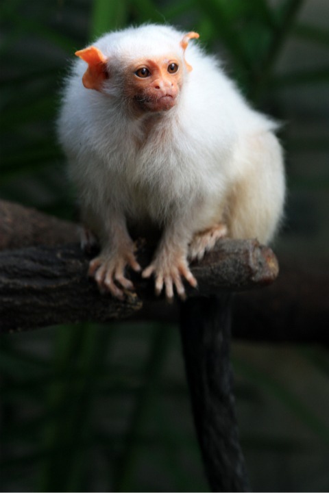 central park... New York City