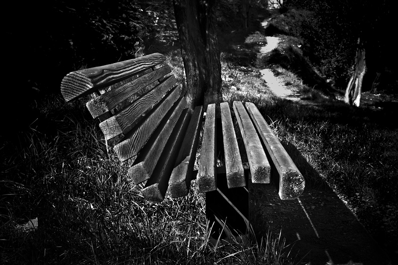 bench dark