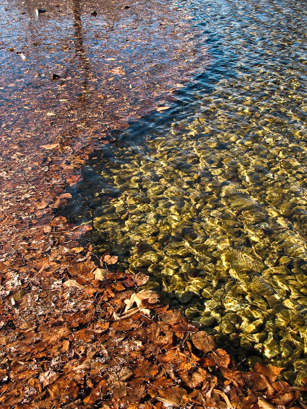 Sotto la ruggine l'oro
