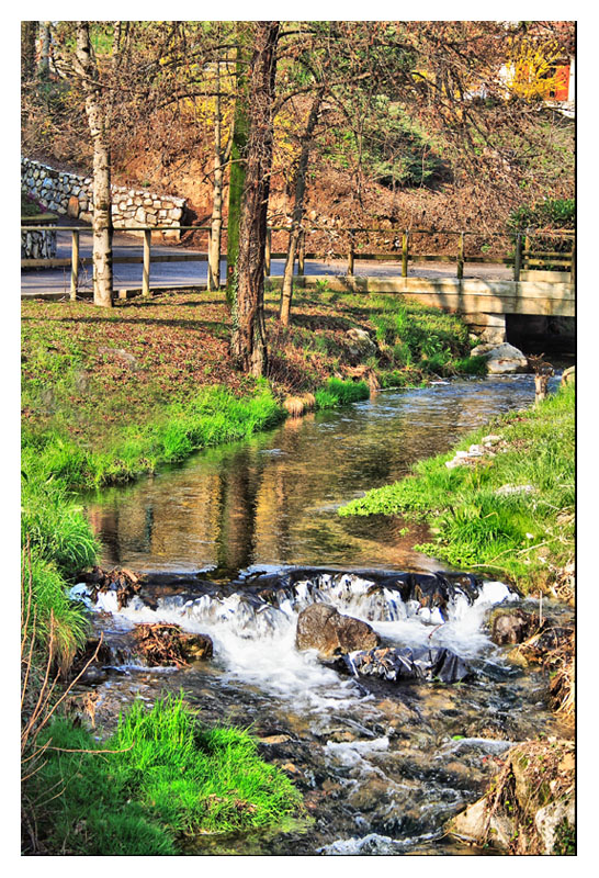 ruscelli di Brianza - Pusiano