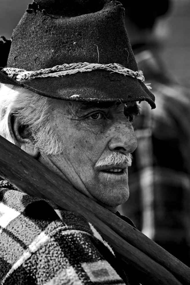 Ritratto carnevalesco