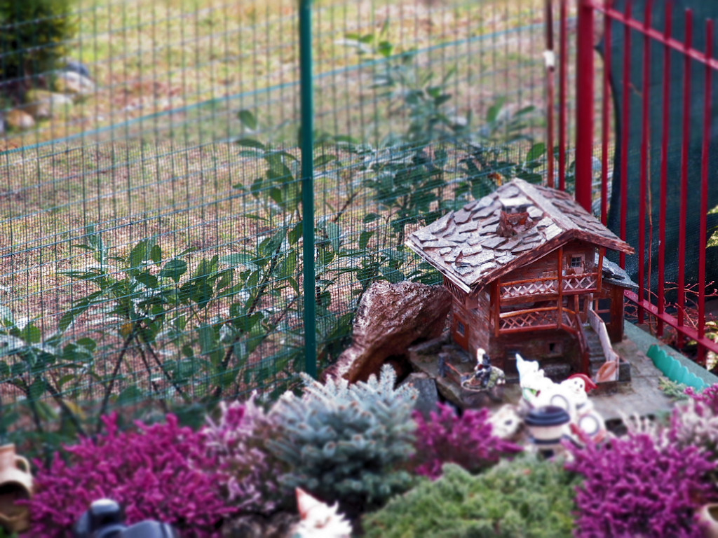 La casetta degli gnomi