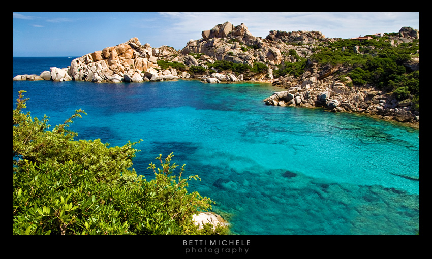 ripropongo capo testa..