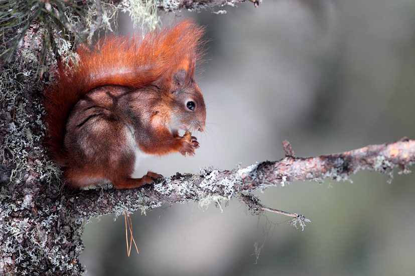 Un attimo di pace per mangiare...