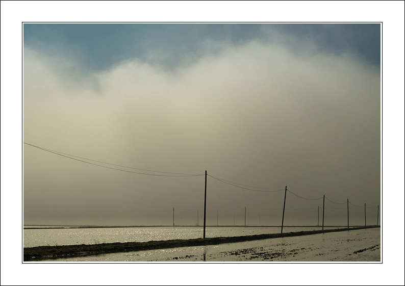 La nebbia color del cielo