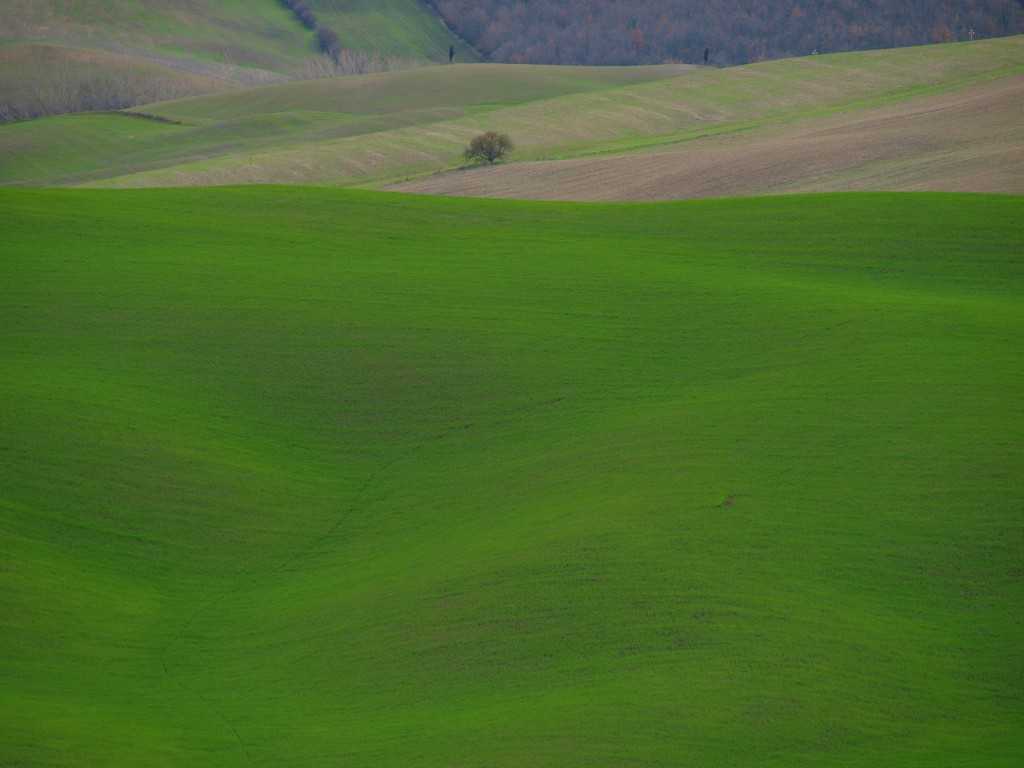 paesaggio toscano