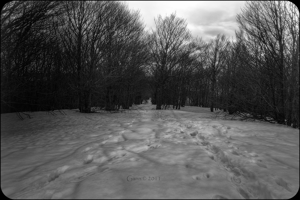 Lasciando l'ultima neve