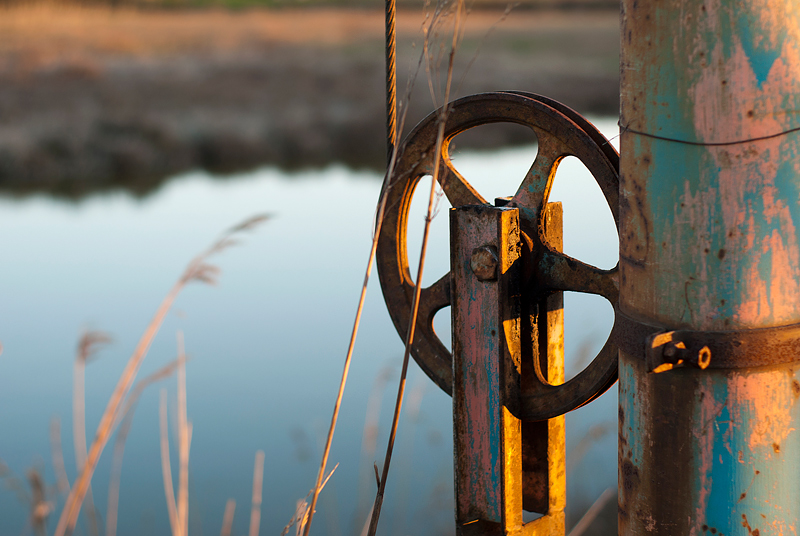 Verso la Foce - L'intensa osservazione del mondo esterno