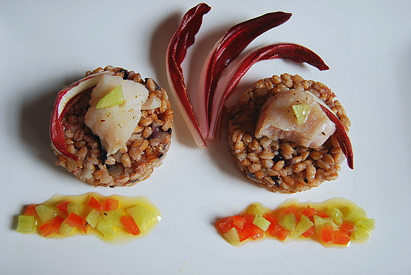 Farro al radicchio, mele e cernia con vinaigrette al kiwi.