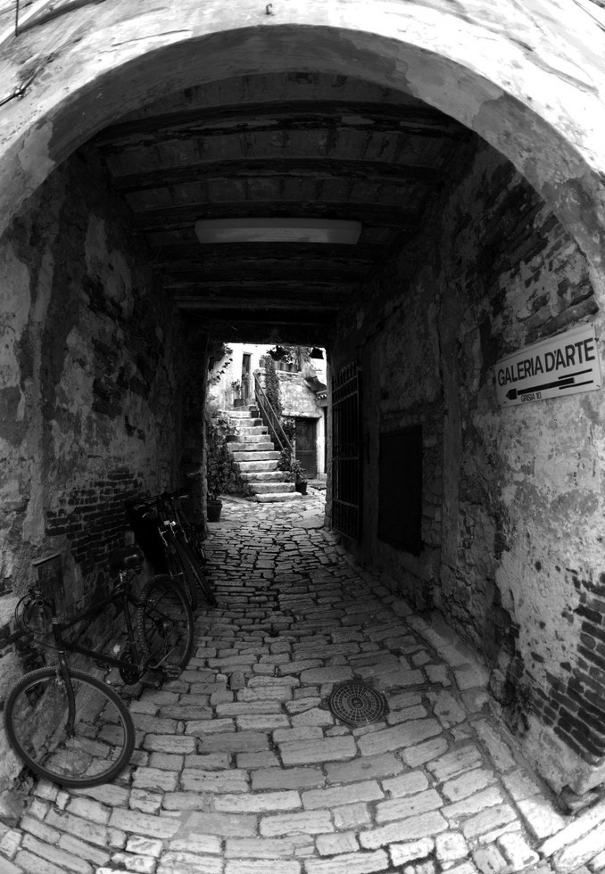 L'arte a Rovigno d'Istria