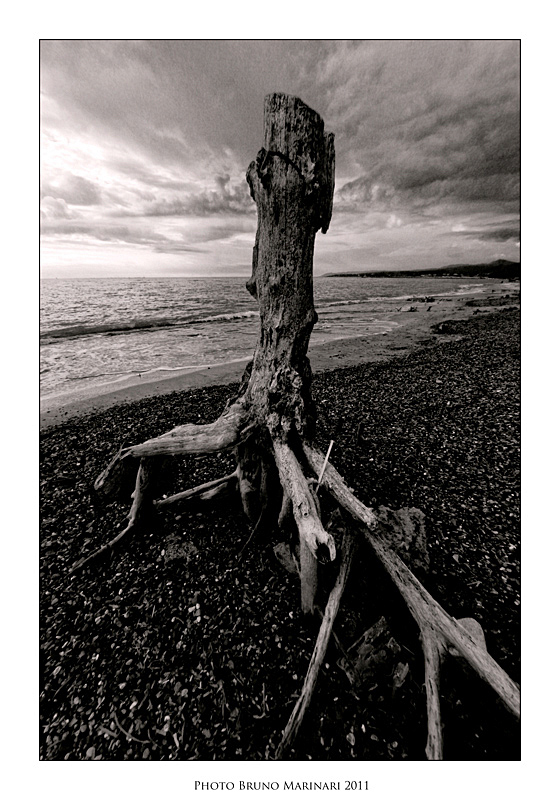 Il volto del mare d'inverno.
