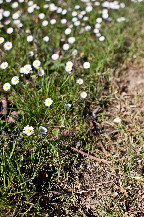 Salve per un pelo...