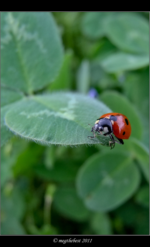 Sull'orlo del precipizio