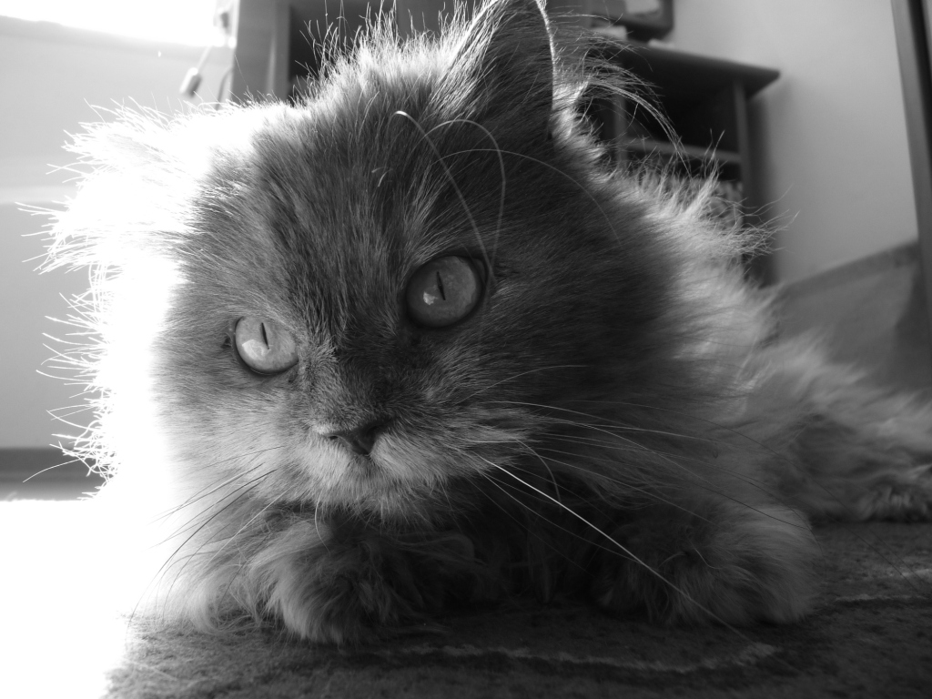 primo sole primaverile