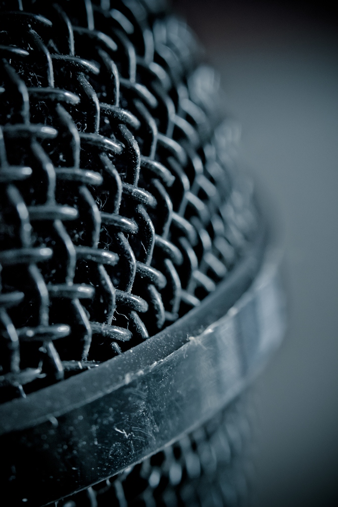 Voci dello spettacolo